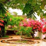 رزرو هتل فلامینگو کیش